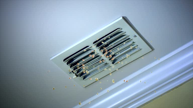 Best Duct Cleaning Specialists  in Park Falls, WI