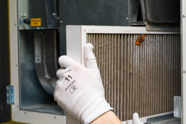 Best Affordable Duct Cleaning Services  in Park Falls, WI